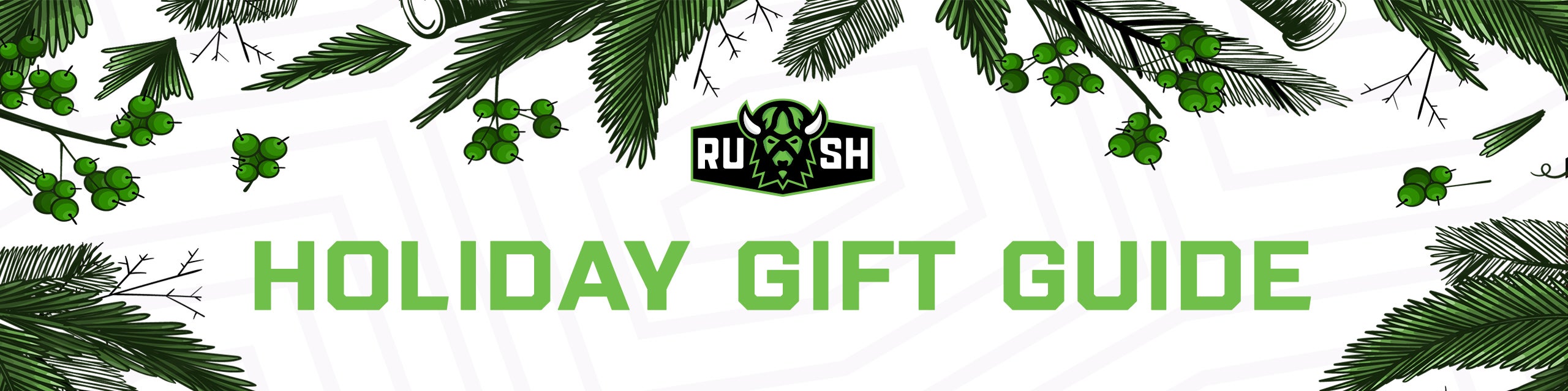 Gift Guide Header.jpg